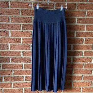 JH collectibles Petites
 Elegant Navy Pleated Skirt